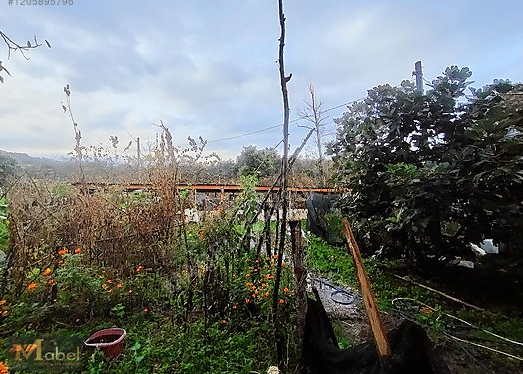 MABEL GAYRİMENKUL KEŞ KÖY KAVAKLAR MEVKISI ARSA İÇİNDE GÜZEL E